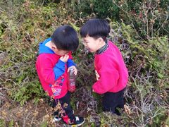 -大姆山草场