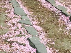 -北海道厅旧本厅舍(旧本庁舎)