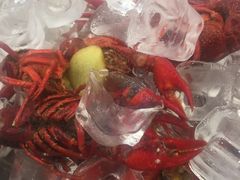 -洪福龙虾