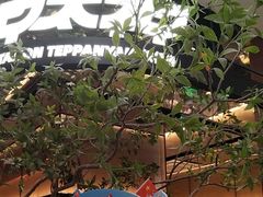 -大神太神·铁板烧(七宝领展广场店)