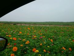 android_upload_pic-太平河公园