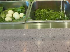 -油梨树AVOCADO TREE(望京店)