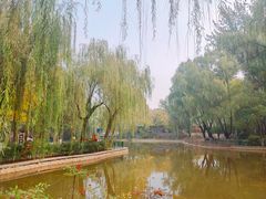 -西安市长乐公园