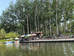 -仁和公园(顺义区)