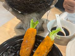 -丁老爷子苏香圆