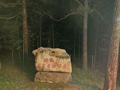 -北极村旅游风景区