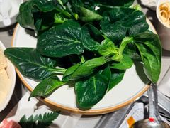 -海底捞火锅(石厦时代广场店)