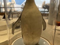 -青岛海底世界-水族馆