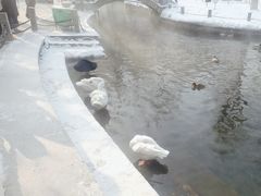 -水磨沟公园