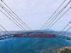 -木兰云雾山