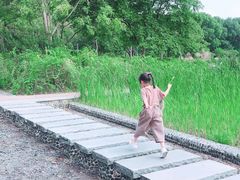 -夏阳湖皇冠假日酒店-自助餐厅