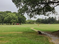 -东方绿舟景区