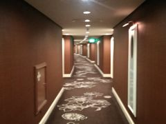 走廊-拉斯维加斯永利酒店