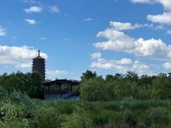 -永定河休闲森林公园