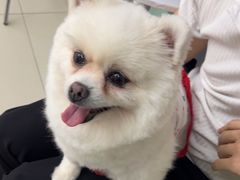 -怪兽屋·羊驼·猫咖·狗咖(俊华广场店)