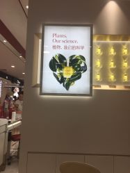 点击看大图 -法国娇韵诗