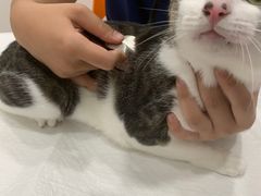 -佳雯宠物医院(四明中路分院)