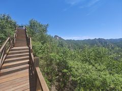-大岭沟猕猴桃谷风景区