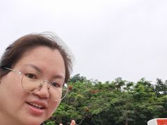 -野狸岛