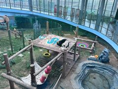 -大连森林动物园