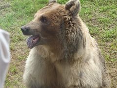 -祥源·阜阳生态乐园