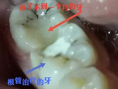 -岳辰齿科(浦东长泰店)