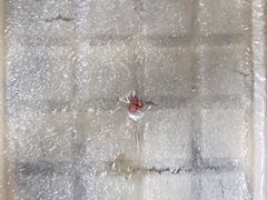 -一品方糕专卖店