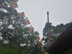 -北京上方山国家森林公园