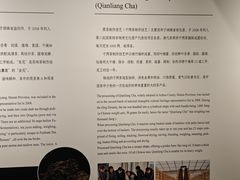 -中国茶叶博物馆(双峰馆区)