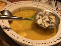 -领鲜天下·焗海鲜·花胶鸡(天目里店)