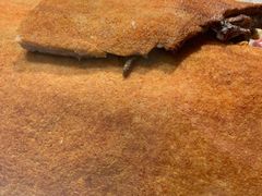 -blt精品超市(KKMALL京基店)