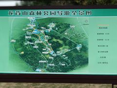 -宜兴龙背山森林公园