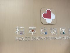 -柏萃动物医院·骨科·牙科