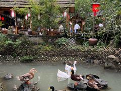 -青城甲(青城山店)