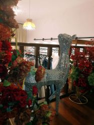 -艾米婚纱&婚礼策划