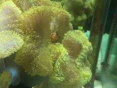 -太平洋海底世界