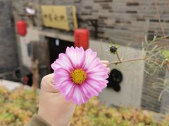 -古北水镇乌镇会精品酒店