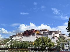 -老光明岗琼甜茶馆