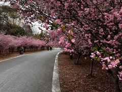 -江苏三台山国家森林公园