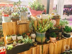 -吾悦广场(天津和平店)