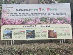 -灵光寺