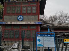 -皇家御河游(紫御湾码头)