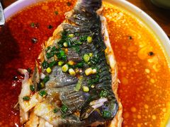 -黔渔翁豆花渎鱼(喷水池店)