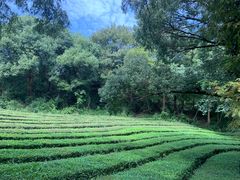 -敬亭山风景名胜区