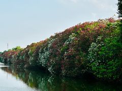 -艾溪湖湿地公园