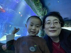 -沈阳海洋探索中心