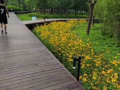 -东郊湿地公园