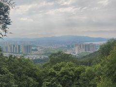 -大雁山风景区