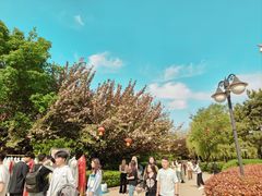 -西安青龙寺遗址景区