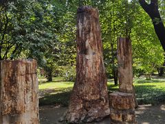 -国家植物园南园